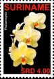 Colnect-4017-071-Phalaenopsis.jpg