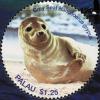 Colnect-4846-420-Grey-seal.jpg