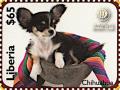 Colnect-7366-520-Chihuahua.jpg