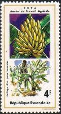 Colnect-4068-213-Bananas.jpg