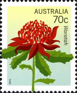 Colnect-2261-218-Waratah.jpg