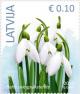 Colnect-2655-213-Snowdrop.jpg