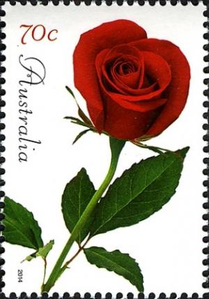 Colnect-2261-228-Red-Rose.jpg