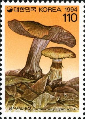 Colnect-2678-322-Mushrooms.jpg