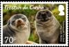 Colnect-4564-323-Fur-Seals.jpg