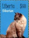 Colnect-7374-232-Siberian.jpg