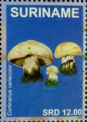 Colnect-4204-523-Mushrooms.jpg