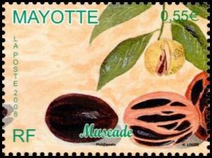 Colnect-851-236-Nutmeg.jpg