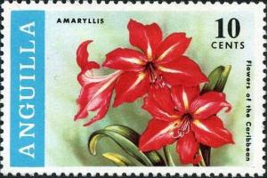 Colnect-864-423-Amaryllis.jpg