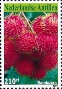 Colnect-4562-243-Rambutan.jpg