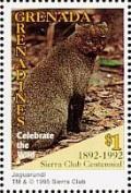 Colnect-4373-725-Jaguarundi.jpg