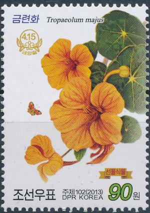 Colnect-3266-425-Nasturtium.jpg