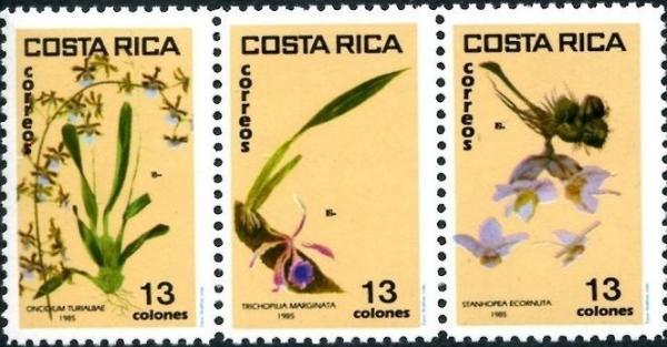 Colnect-4018-251-Orchids.jpg