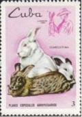 Colnect-3561-279-Rabbits.jpg