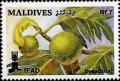 Colnect-4172-528-Breadfruit.jpg