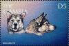 Colnect-4725-298-Malamute.jpg