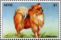 Colnect-4411-229-Pomeranian.jpg