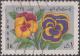 Colnect-1716-294-Pansies.jpg