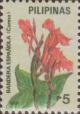 Colnect-2957-294-Canna-sp.jpg