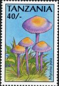 Colnect-3229-082-Mycena-pura.jpg