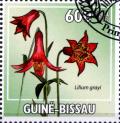 Colnect-3763-732-Lilium-grayi.jpg