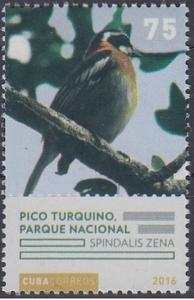 Colnect-5093-772-Pico-Turquin.jpg