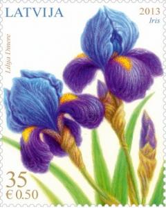 Colnect-1732-934-Iris.jpg