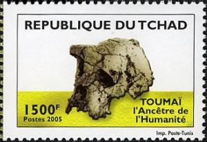 Colnect-2395-372-Toumai-skull.jpg