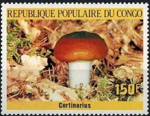 Colnect-2906-482-Cortinarius.jpg