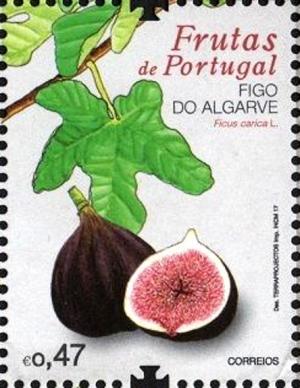 Colnect-3891-692-Algarve-fig.jpg