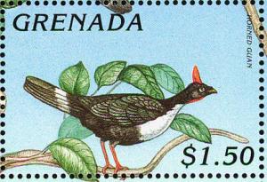 Colnect-4391-312-Horned-guan.jpg