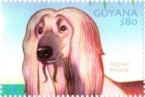 Colnect-4863-472-Afghan-Hound.jpg