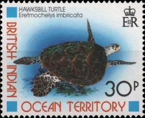 Colnect-3968-331-Hawksbill.jpg