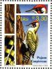 Colnect-1672-931-Woodpecker.jpg