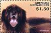 Colnect-4385-332-Leonberger.jpg