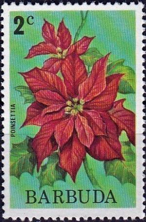 Colnect-3965-832-Poinsettia.jpg