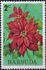 Colnect-3965-832-Poinsettia.jpg