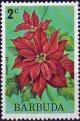 Colnect-3965-832-Poinsettia.jpg