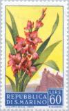 Colnect-169-633-Gladiolus.jpg