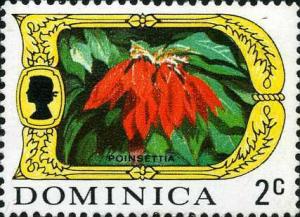 Colnect-3168-933-Poinsettia.jpg