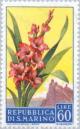 Colnect-169-633-Gladiolus.jpg