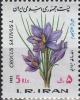 Colnect-1955-333-Saffron.jpg