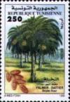 Colnect-558-734-Date-palm.jpg