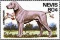 Colnect-4411-434-Weimaraner.jpg