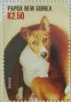 Colnect-4215-346-Basenji.jpg