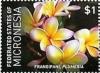 Colnect-5812-435-Frangipani.jpg