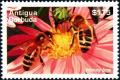 Colnect-4116-735-Honey-bee.jpg