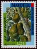 Colnect-851-135-Jackfruit.jpg