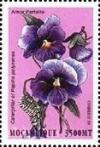 Colnect-5089-373-Viola-sp.jpg