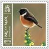 Colnect-6090-537-Stonechat.jpg